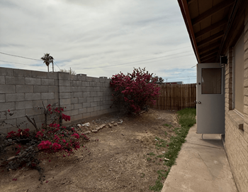 Private patios and backyards*
